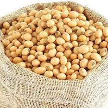 Soya Protein